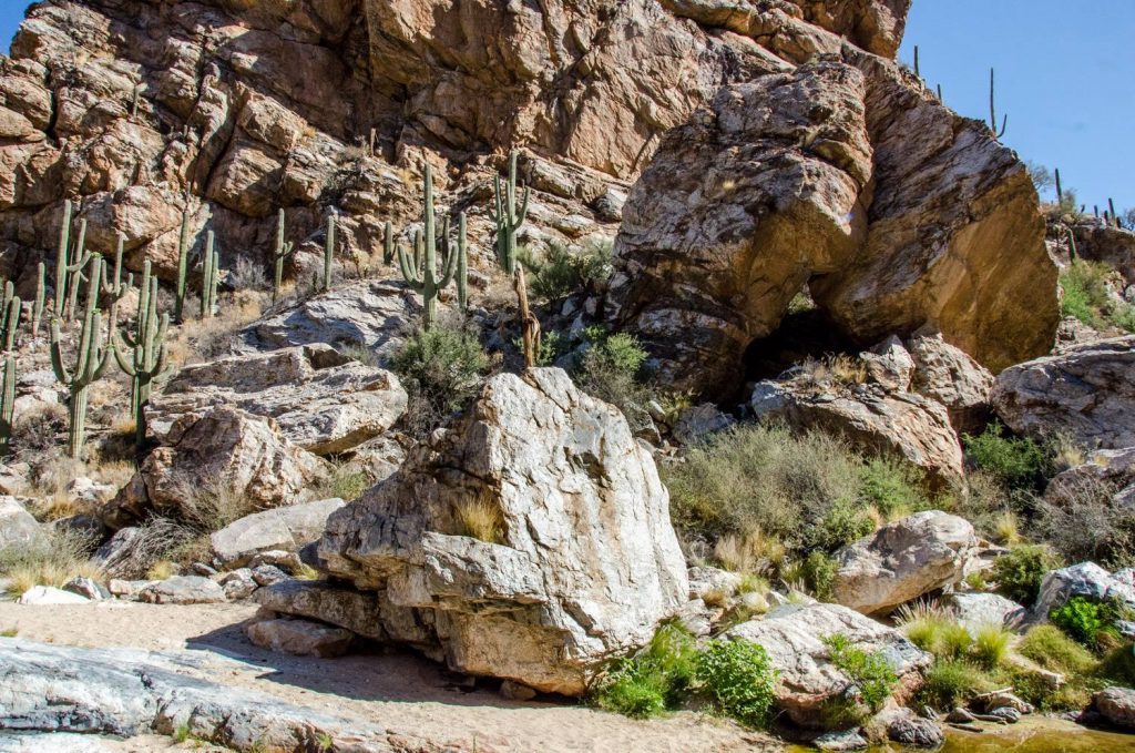 From our Memorial Day 2015 hike to Tanque Verde Falls. 