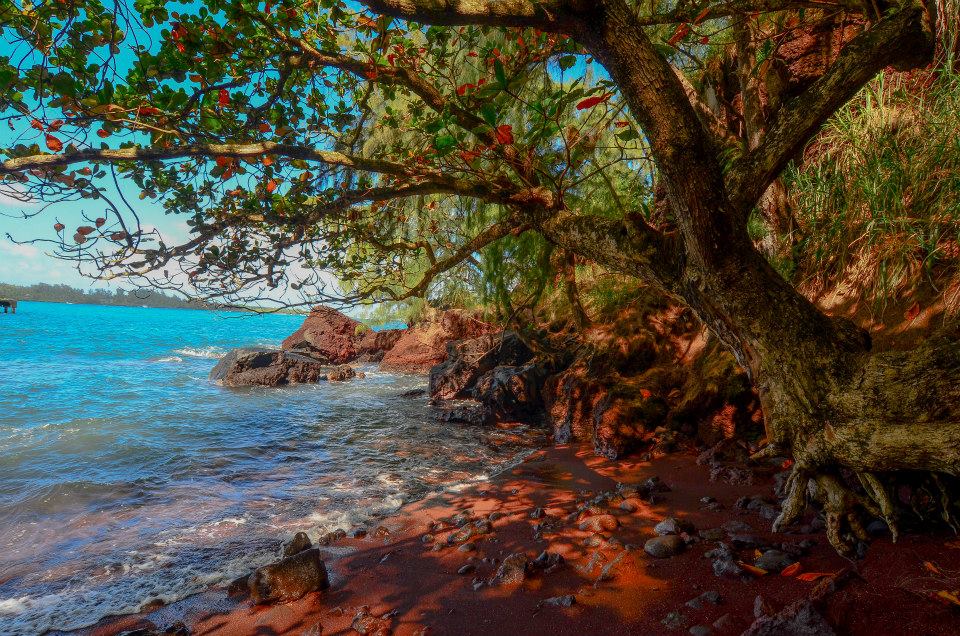 The coast of the island of Maui, Hawaii | Photograph by Steve Adcock :)