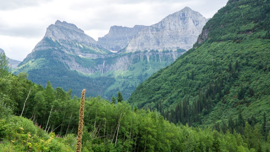 A view from along the Going To The Sun road