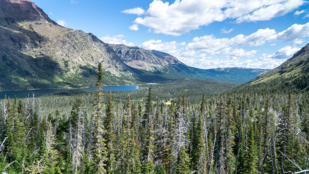 Nearly limitless views throughout the park