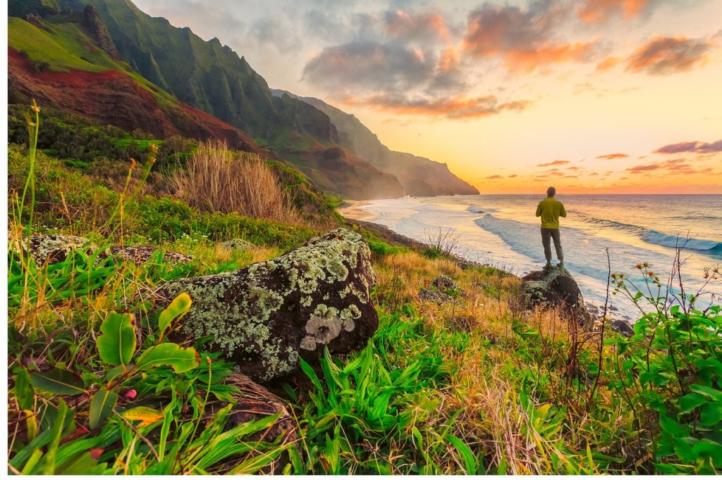 Freedom in Hawaii