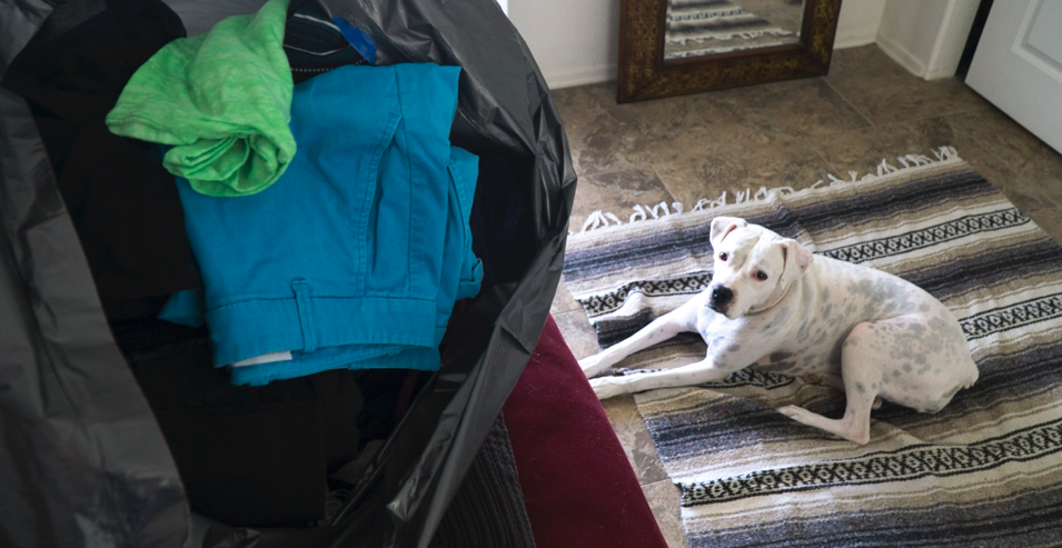 Cleaning out the closets while our dog supervises