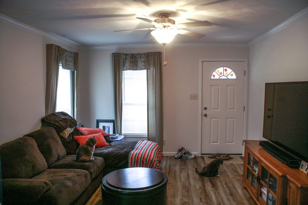 The family room and the front door (and a fluffy cat!)