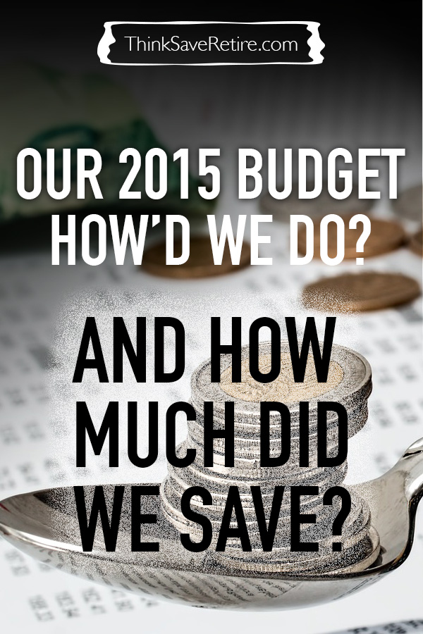 Our 2015 Budget: How much did we save over the year?