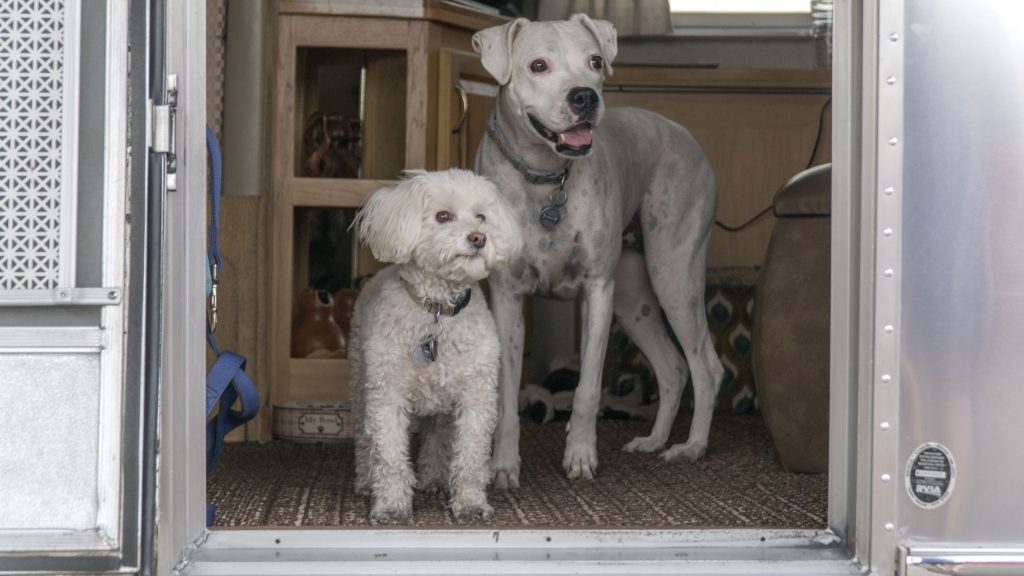 Patti and Penny looking outside the door of the Airstream