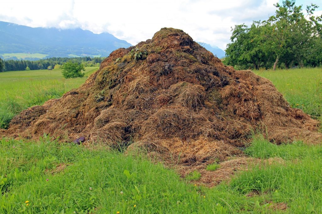 In Malcolm (Jurassic Park)'s voice: That is one big pile of shit.