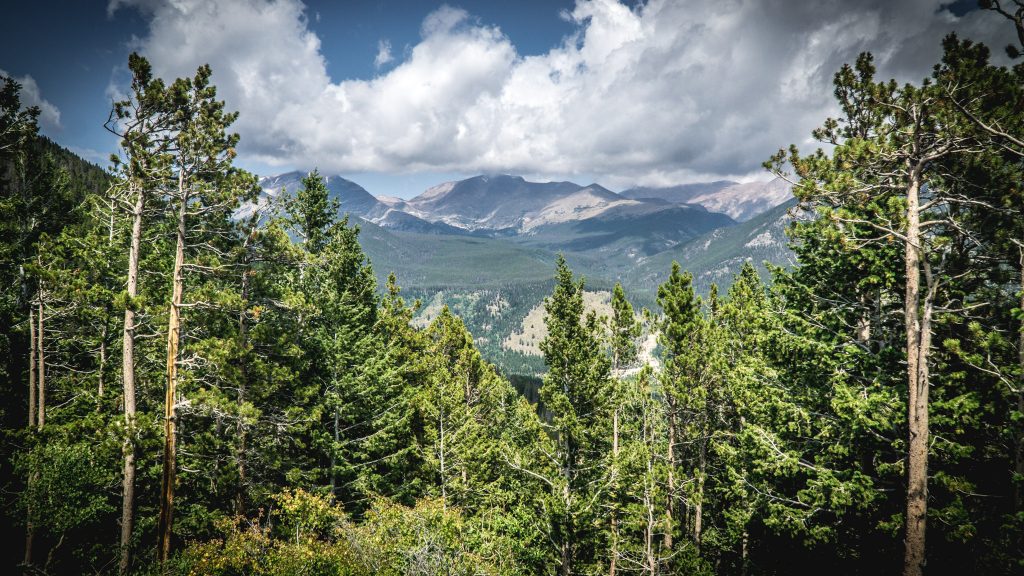 A view inside Rocky Mountain National Park