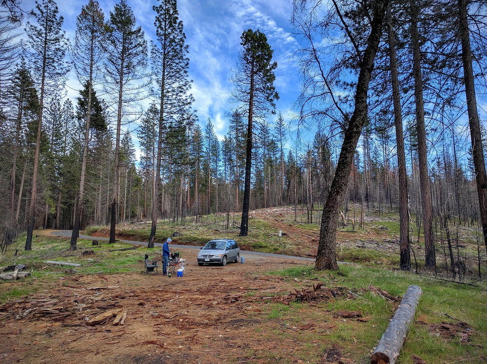 The Resume Gap van in Yosemity