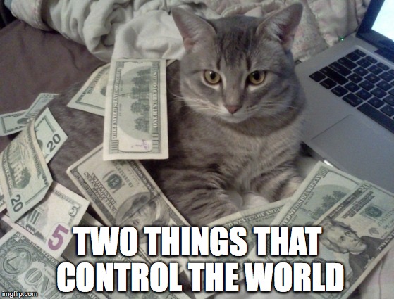 Old Money Cat Meme