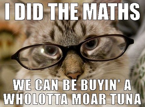 money cat meme