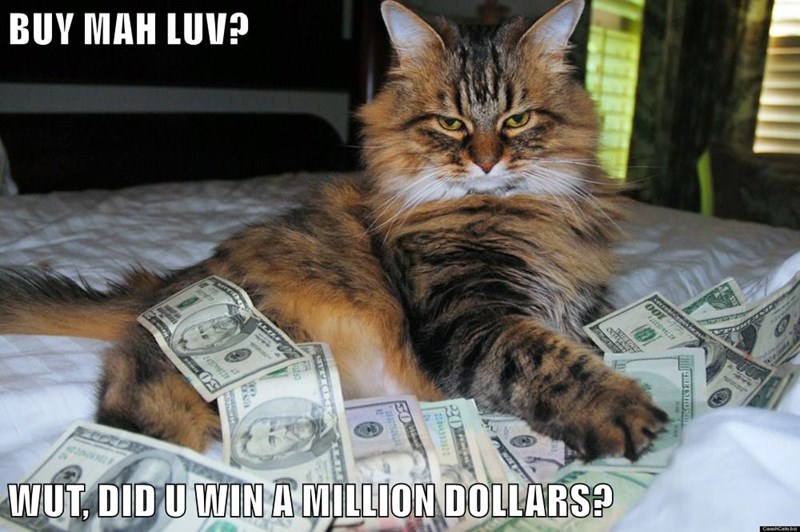 The best [cat] money memes for 2019