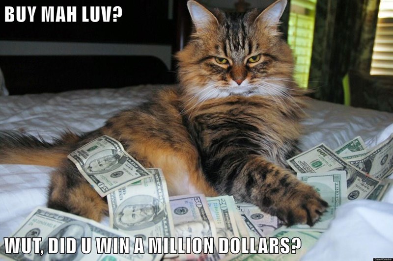 Money Funny Cat Memes