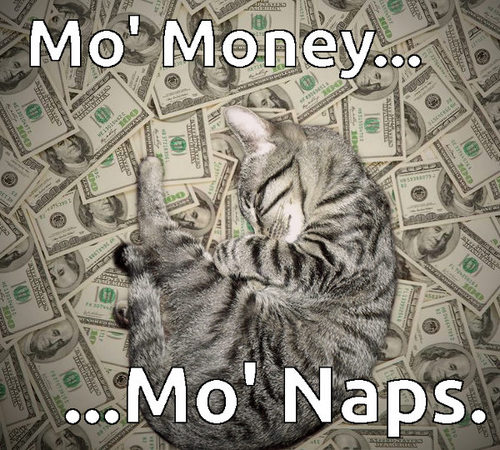 The Best Cat Money Memes For 2019