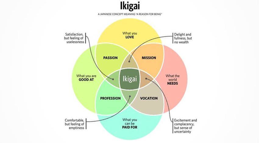 The Japanese word, Ikigai, translates to "the reason you get out of bed in the morning"